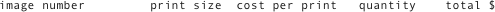     image number         print size  cost per print   quantity    total $  